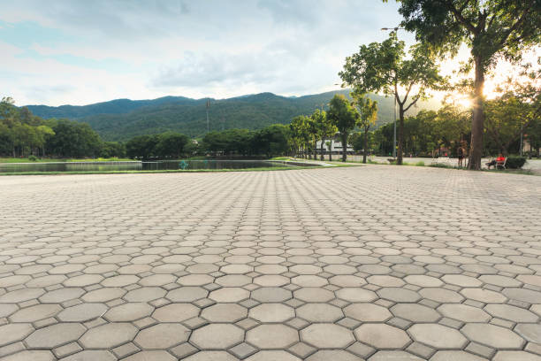 Best Interlocking Driveway Pavers  in Emigration Canyon, UT