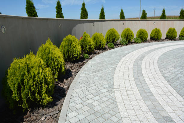 Best Driveway Paving Contractor  in Emigration Canyon, UT